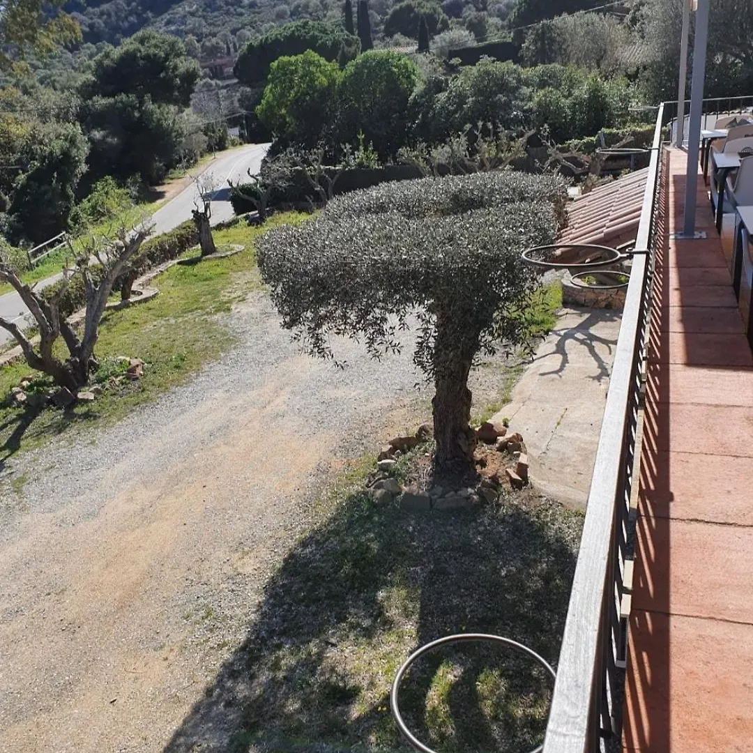 Hotel Nuevo Ondina 巴古尔